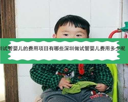 深圳喜贝之家代孕中心 深圳试管婴儿的费用项目有哪些深圳做试管婴儿费用多