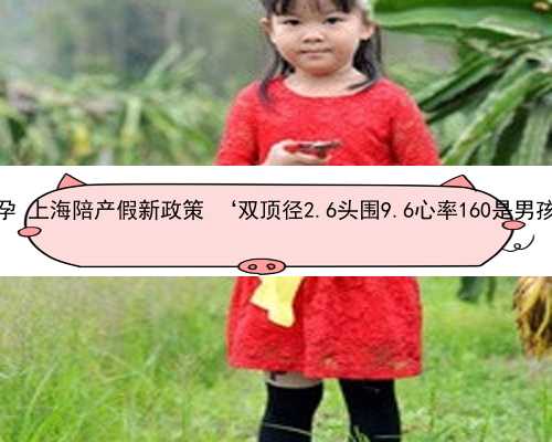 上海出国代孕 上海陪产假新政策 ‘双顶径2.6头围9.6心率160是男孩还是女孩’