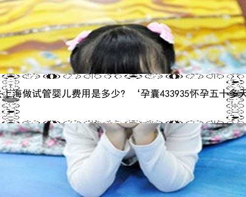 上海专业的代孕机构 去上海做试管婴儿费用是多少? ‘孕囊433935怀孕五十多天男