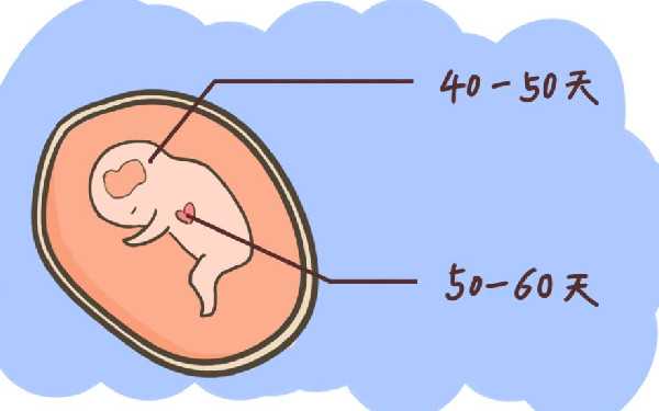 试管婴儿代孕成功经验_哪个代孕医院较好_泰国试管婴儿被骗是怎么回事如何防