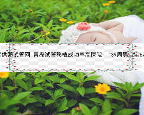 青岛高端供卵试管网 青岛试管移植成功率高医院 ‘39周男宝宝b超图片’
